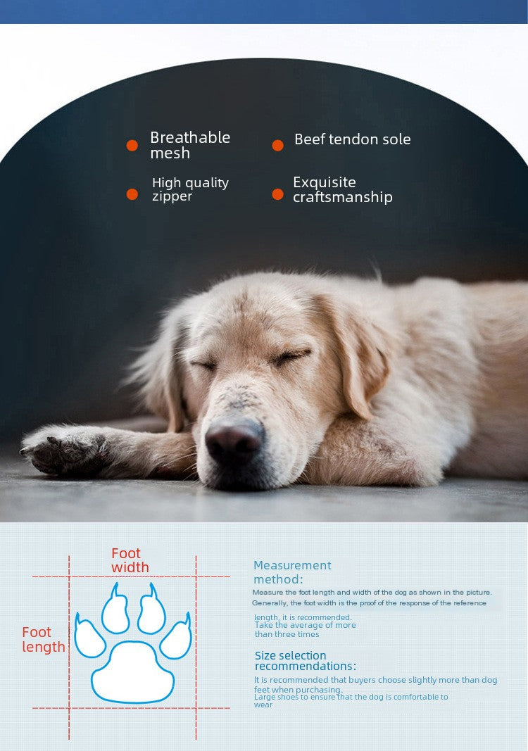 Botines Impermeables Antideslizantes para Perro